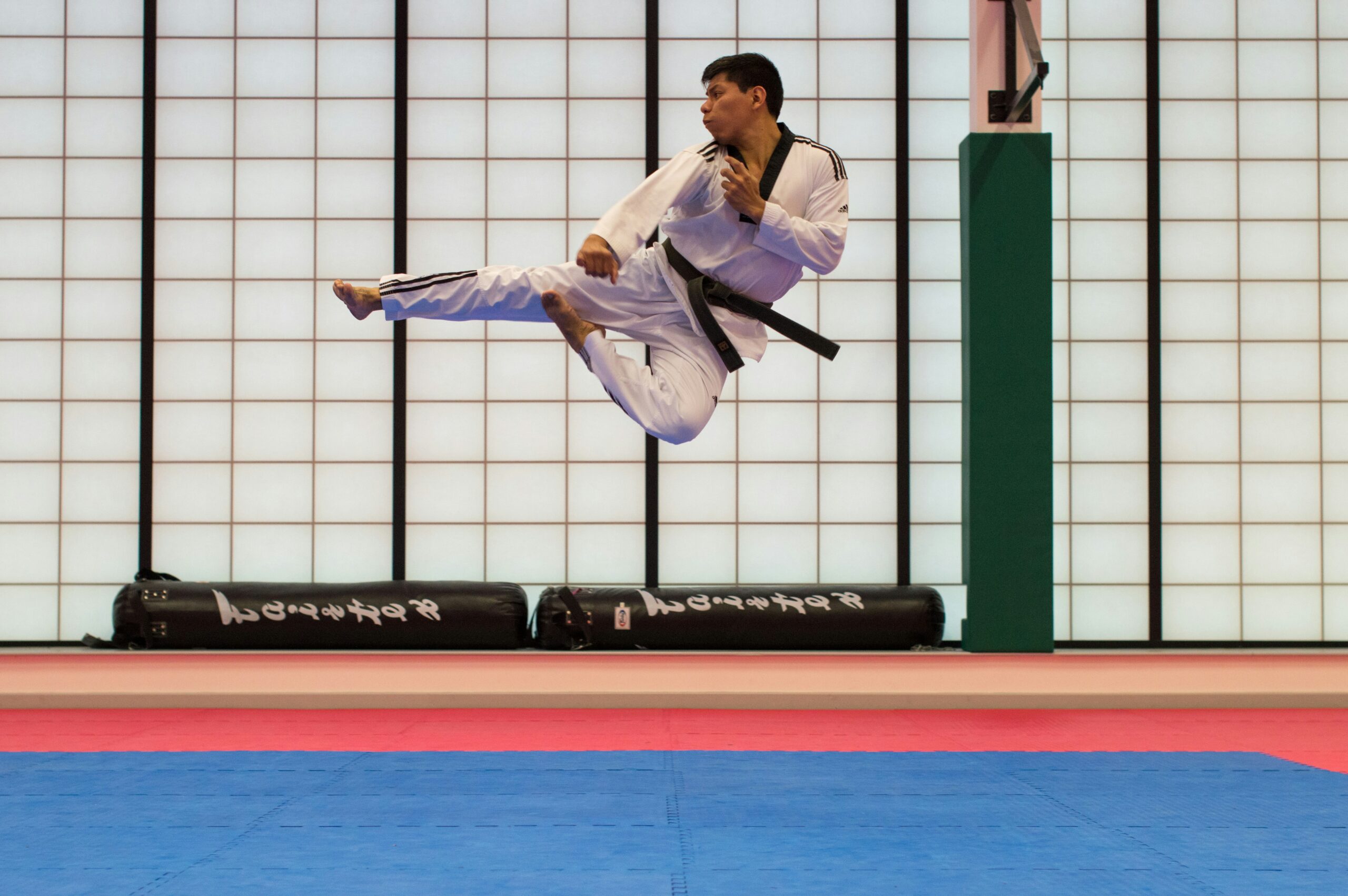 A Importância de Treinar Artes Marciais com Mestres Qualificados